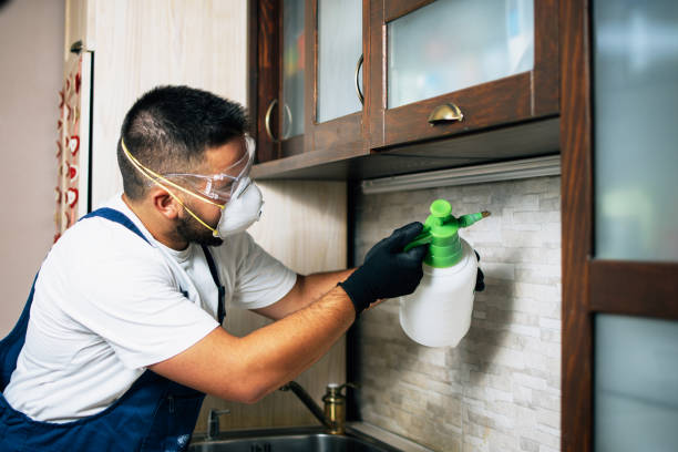 Flea Control Services in Belmont, PA