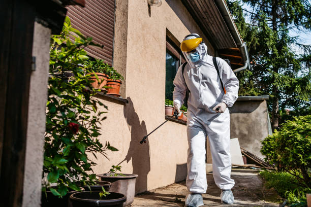 Best Local Pest Control Services  in Belmont, PA