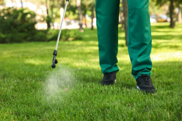 Best Pest Control Treatment  in Belmont, PA