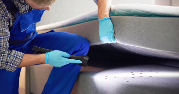 Best Affordable Pest Control Services  in Belmont, PA